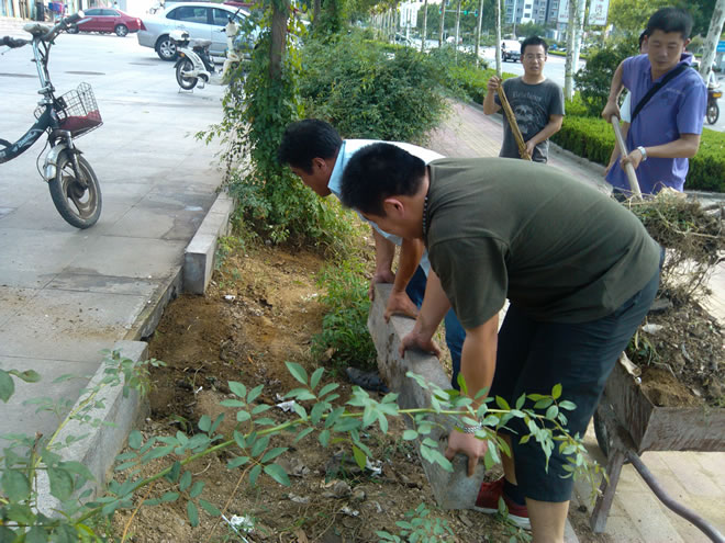 市妇幼保健院积极参与 共创全国文明城市(图3)