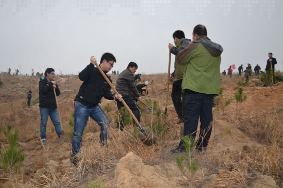 多一片绿叶 多一份温馨——我院职工积极参加植树活动(图3)
