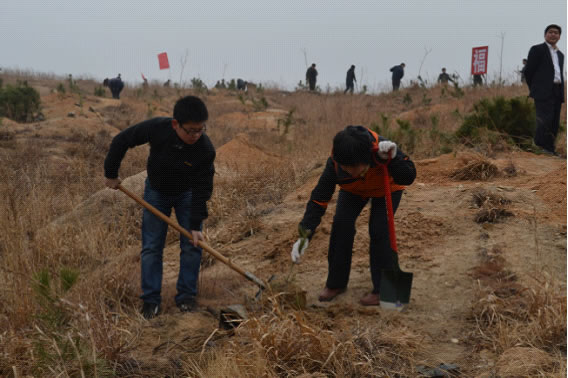 多一片绿叶 多一份温馨——我院职工积极参加植树活动(图2)