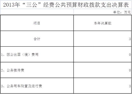 2013年日照市妇幼保健院“三公”经费公共预算财政拨款决算情况(图1)