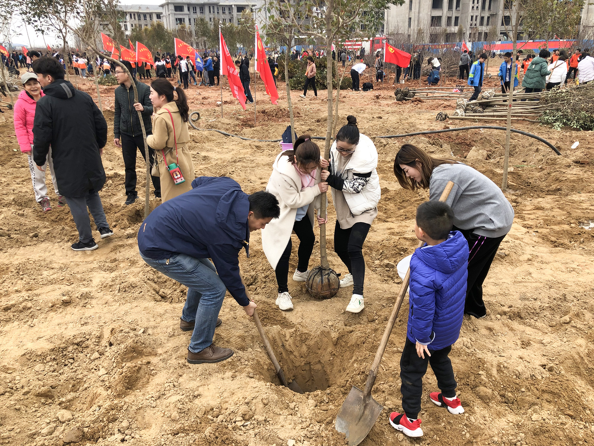 日照市妇幼保健院组织开展植树活动(图2)